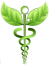 logo naturopathie